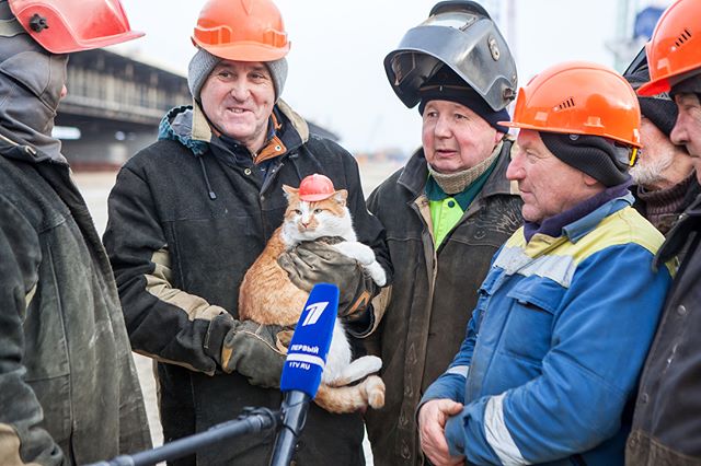 普京工地视察工作 被一只胖橘猫意外抢镜