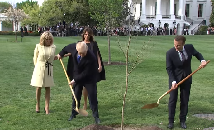 马克龙与特朗普在白宫一同种下了一棵来自法国的小橡树。