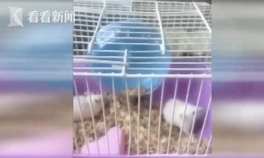 1541384910406578.png image.png