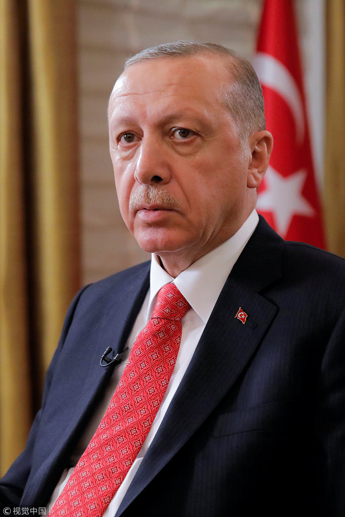 埃尔多安.jpg