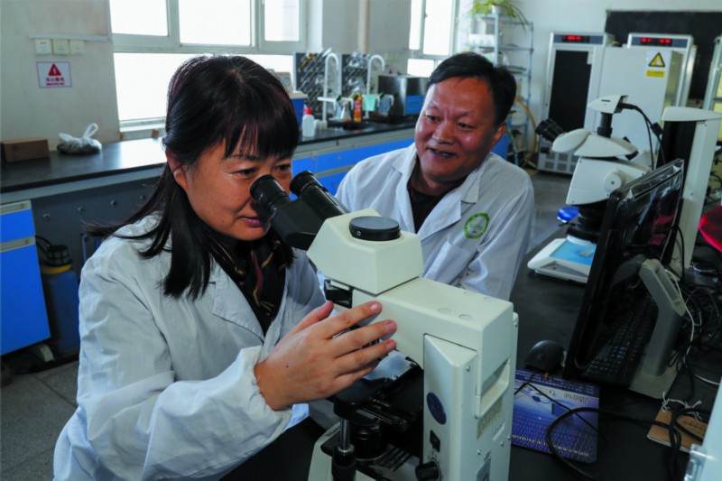 胡杨精神薪火相传