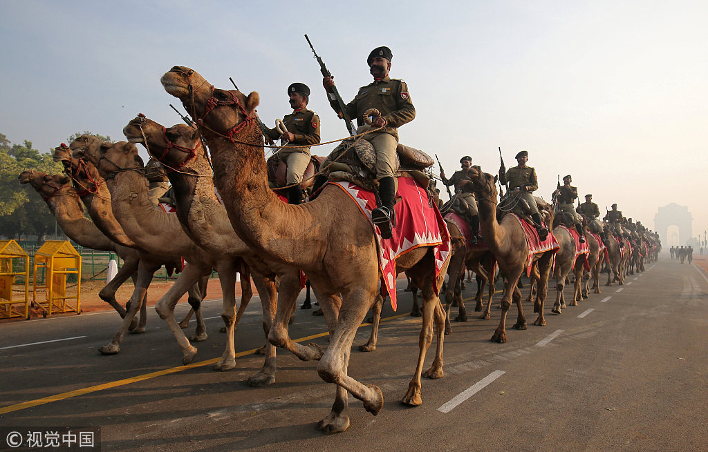 印度军队游行彩排五花八门 士兵骑骆驼异常吸睛