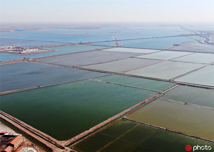 天津长芦汉沽盐场扒盐场面壮观 雪白盐池美如画