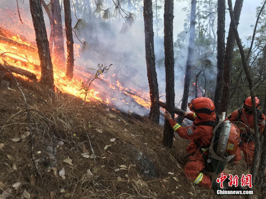 四川冕寧森林火災明火得到控制