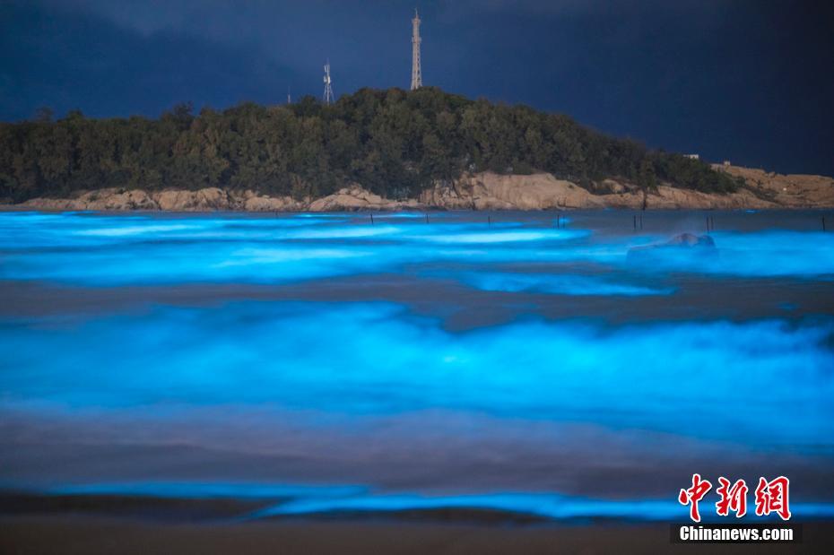 荧光海藻点亮福州海岸 开启蓝色梦幻模式