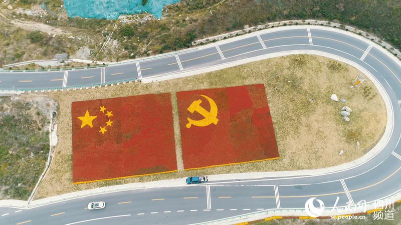 四川泸定县鲜花绘党旗组图