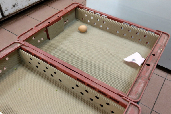 1549190152508836.jpg 6040102.jpg