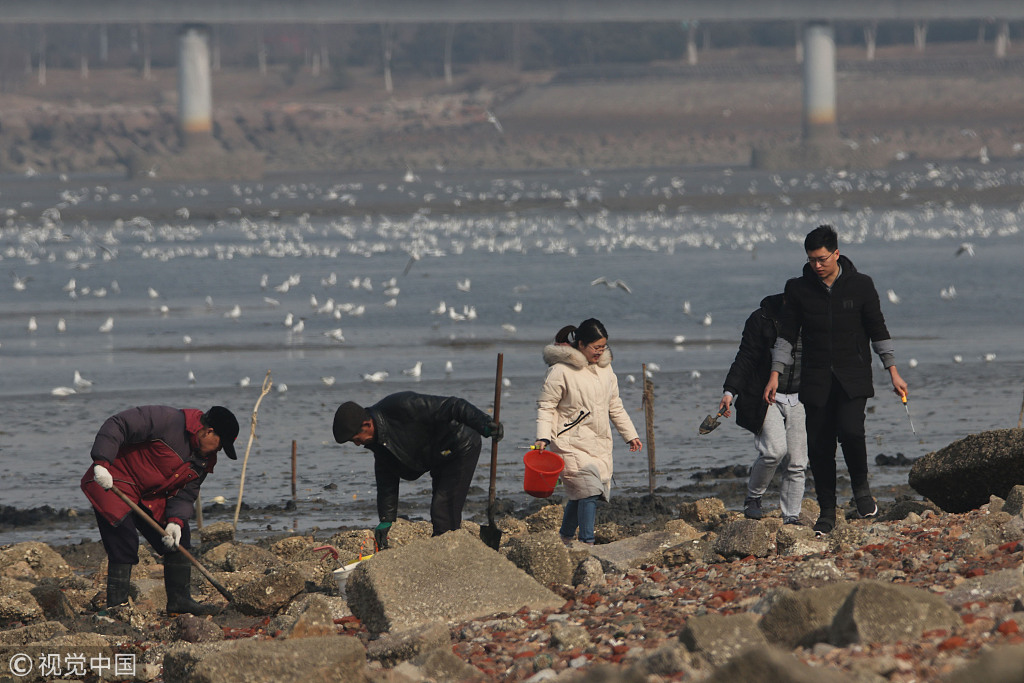 青岛:市民初春赶海尝鲜