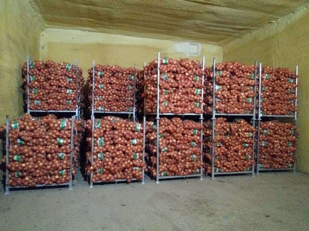 从常年滞销到畅销11国 阿里跨境电商平台让山东圆葱身价翻十倍 - 海外