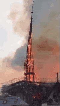 4.gif