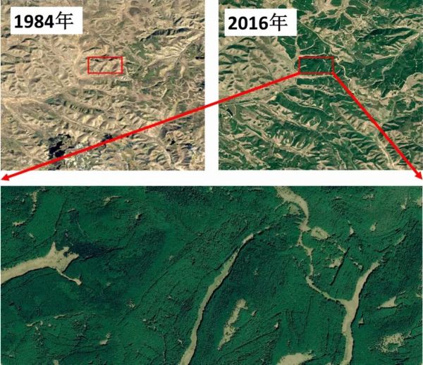 从下面两幅卫星影像中能直观地看出:相对于1984年,2016年塞罕坝森林