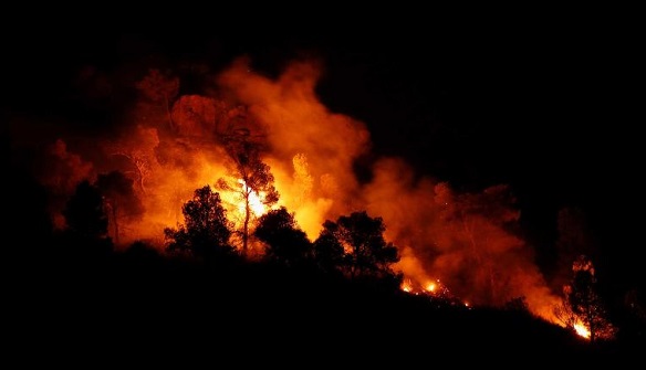 西班牙超4000公顷森林着火 或是粪肥惹的祸