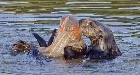 这些图片触目惊心!