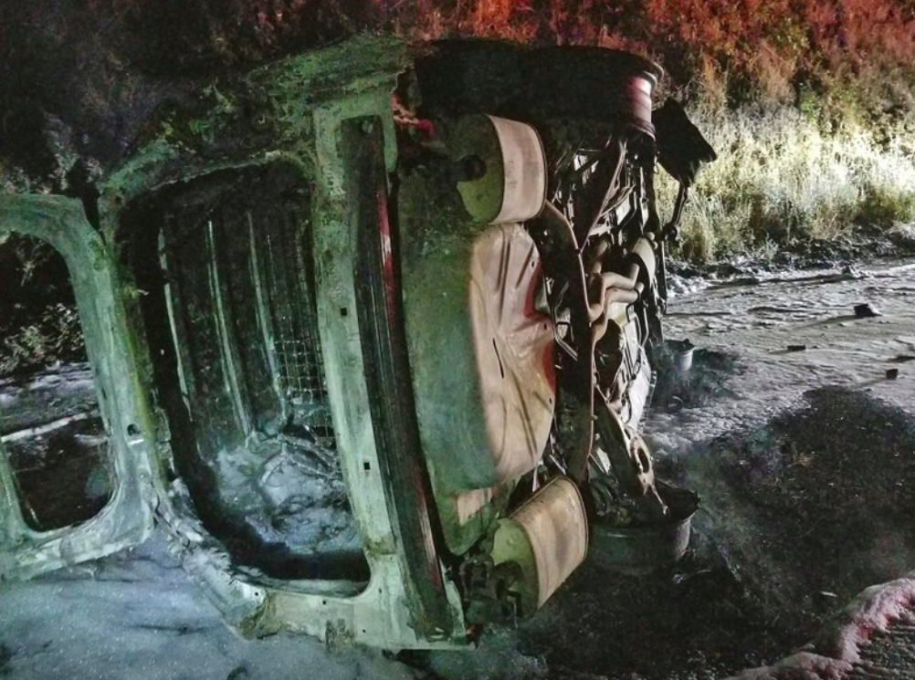 美加州一警车遭熊撞翻:整车被烧毁 警察设法脱身