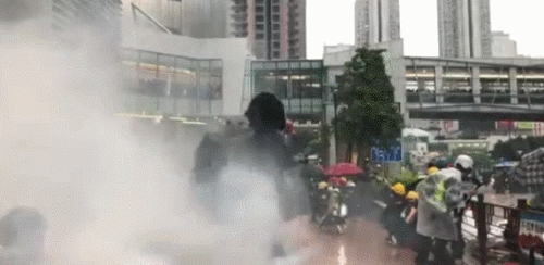 33.gif