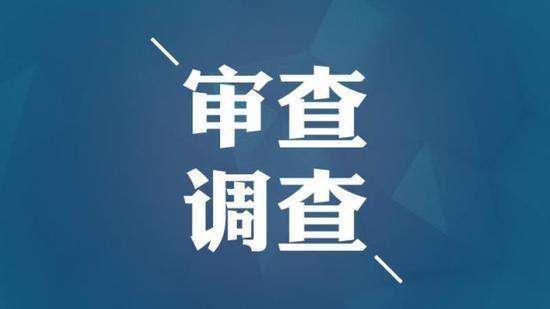 审查调查.jpg