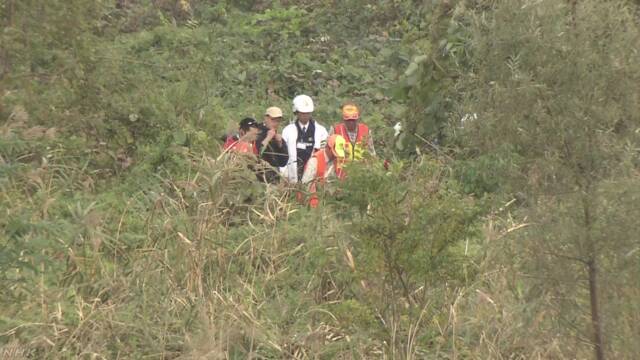 1573132970621118.jpg 1.jpg