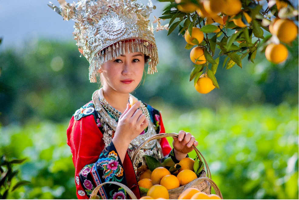 2019麻阳冰糖橙长沙推介会在湖南长沙即将开幕 - 明星企业 - 海外网