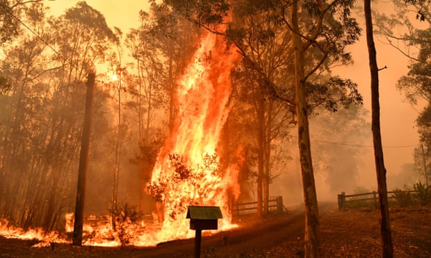 澳大利亚发生140起森林大火 火势凶猛“大到无法扑灭”