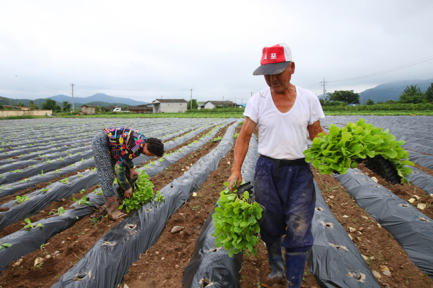 韩国外籍居民突破200万，占比4%，务农的人多了