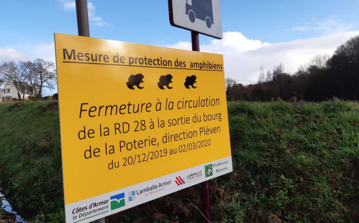 法国把一条公路封闭两个半月 给青蛙让路（图）