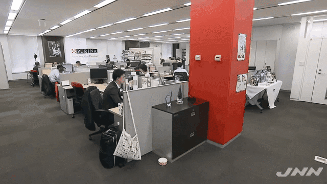 日本企业允许员工带宠物上班 狗狗办公室里撒欢狂奔