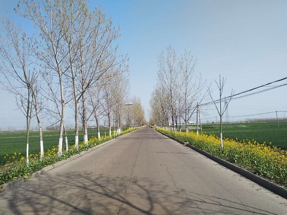 河南宝丰:整治人居环境 建设美丽乡村 - 农业农村 - 海外网