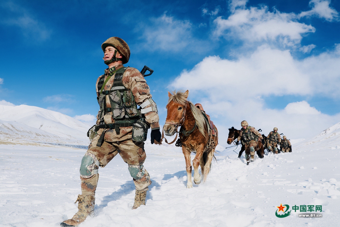 军马"流星":巡逻路上的"安全员"