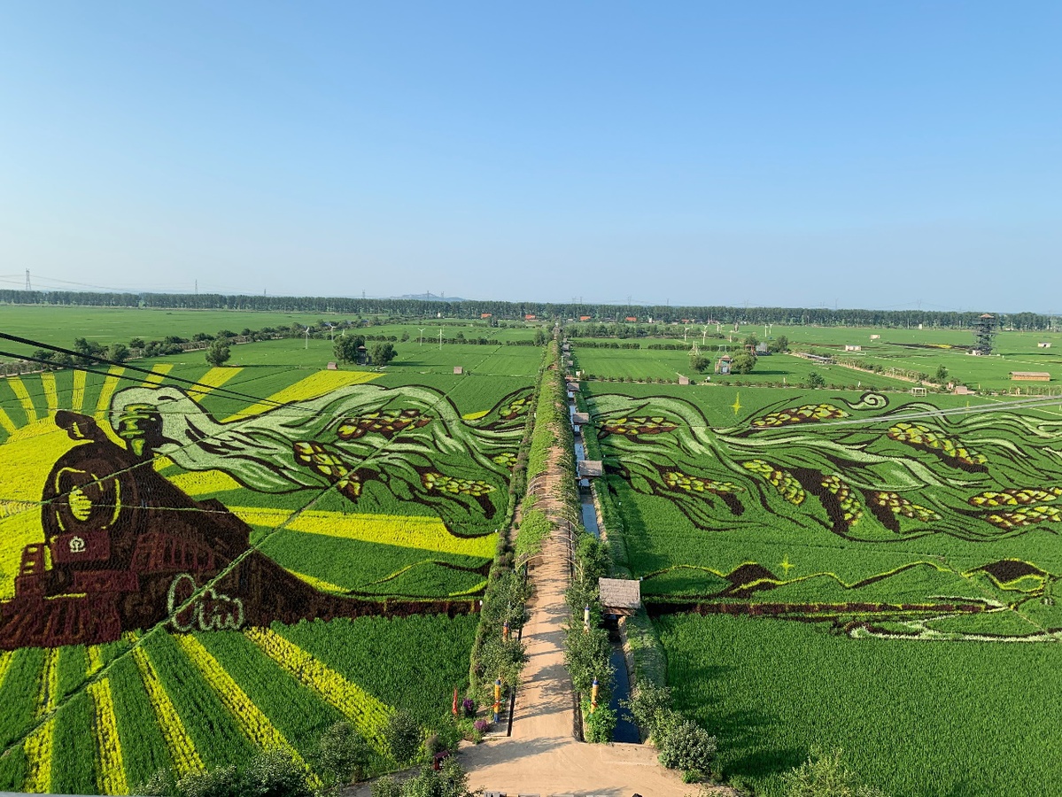 "稻梦空间"巨型稻田画太震撼