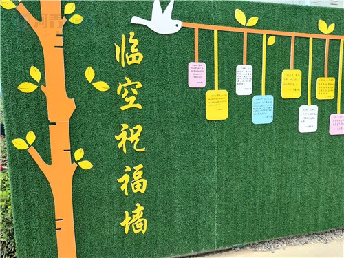 行走自贸区大兴机场片区临空祝福墙因为有了梦想所以有了奋斗的目标