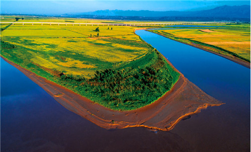 渭南市委常委,副市长罗书葵: 布"园"寻根黄河文化 打造黄洛渭流域高