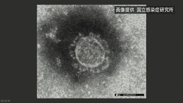日本国内确诊新冠肺炎510例 死亡9例