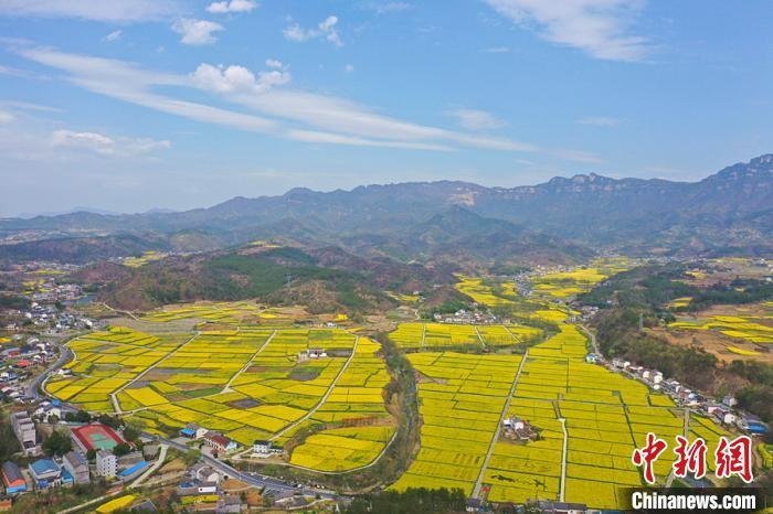 资料图:夷陵油菜花田 李重庆 摄