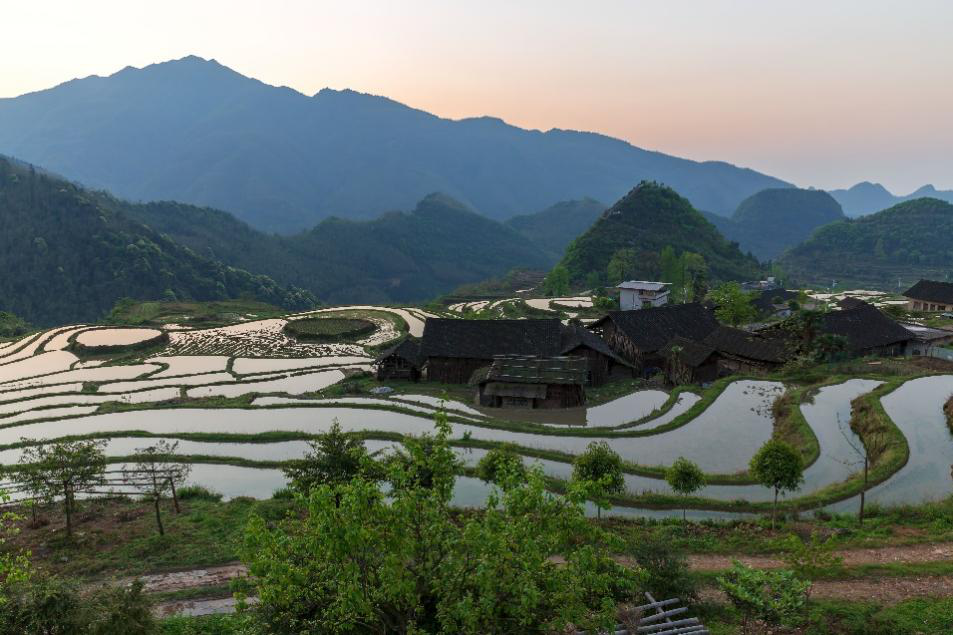 永州市东安县塘家梯田十里峡谷茶飘香