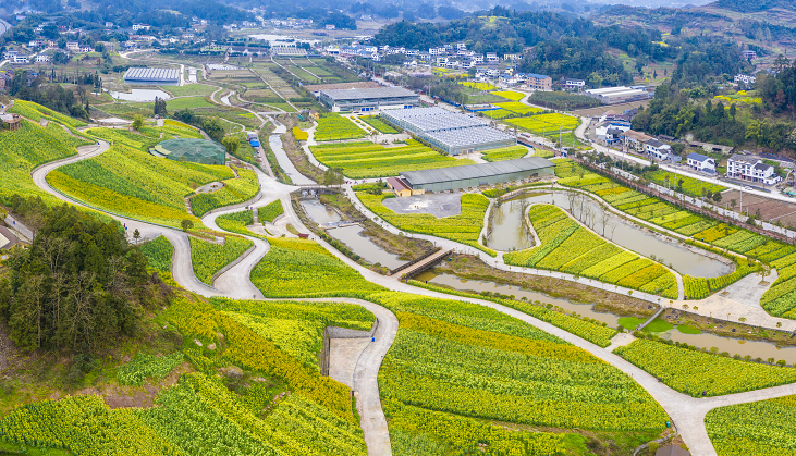 镇"以花为媒,打造乡村旅游"看点,在汉场坝村打造了上千亩多彩油菜花