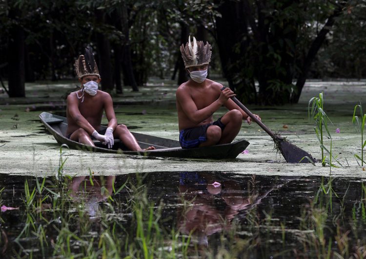 疫情已扩散至38个巴西原住民部落 一酋长因新冠肺炎去世