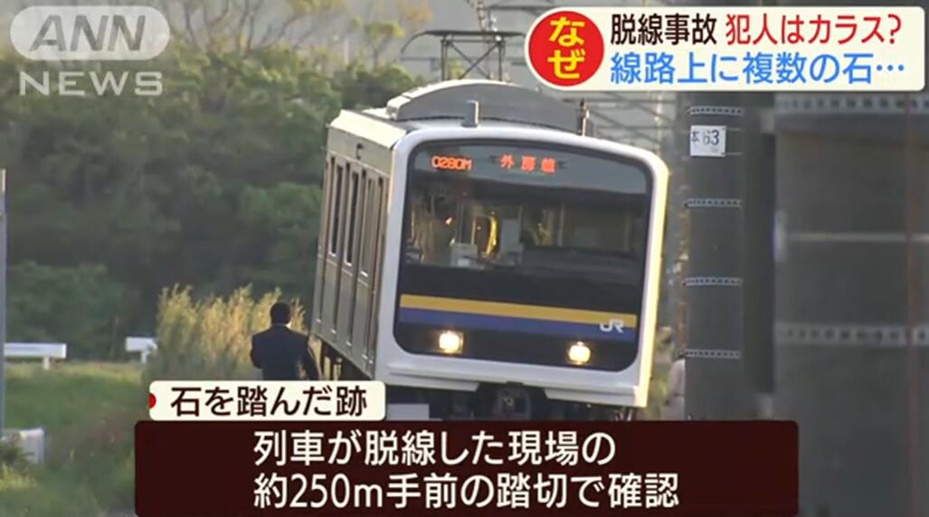 在铁轨放石块引发列车脱轨 日本小学生承认犯案：在做实验