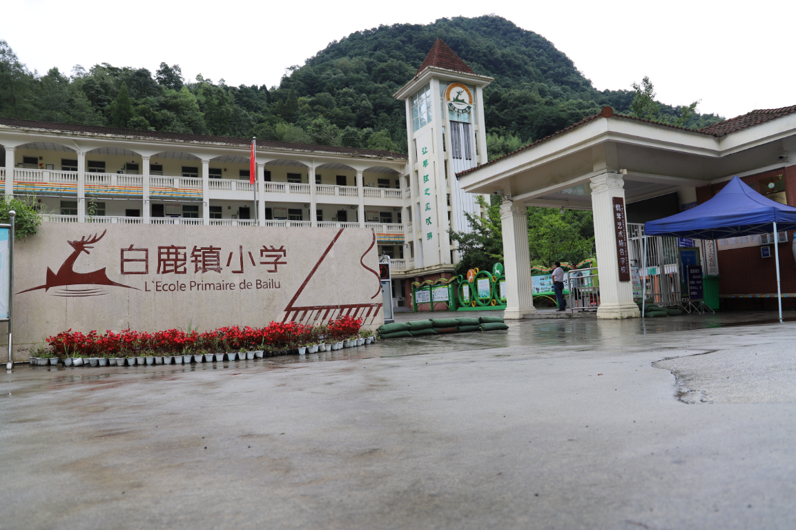 彭州市白鹿镇小学开展防汛抗洪清扫活动