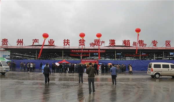 稳健应对疫情冲击中国地利2020上半年逆势盈利