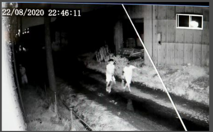 日本多地发生家畜被盗案:数百头牛、猪消失 警方感叹“闻所未闻”