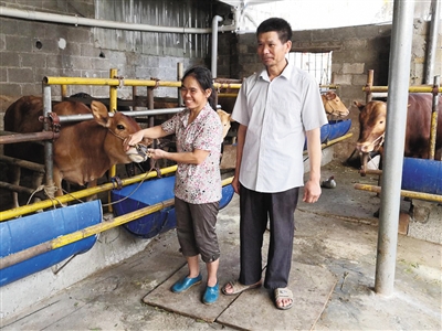 苏建坤与妻子在牛场.周文峰 摄