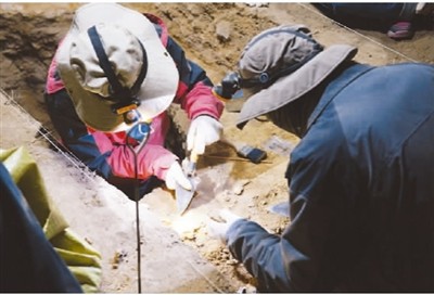甘肃夏河白石崖溶洞遗址发掘现场。（供图: 兰州大学资源环境学院 张东菊)