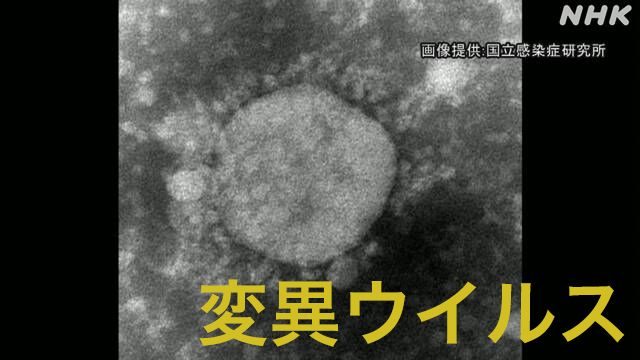 日本暴发首起变异病毒集体感染 患者出自同一公司