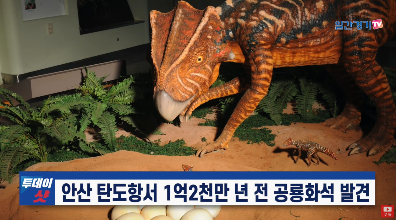 韩国宣布发现1.2亿年前恐龙化石：市民海边溜达捡到的
