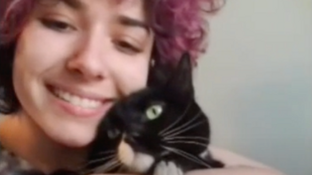 美国女子丢失猫咪28天后 在邻居家烟囱里找到了它