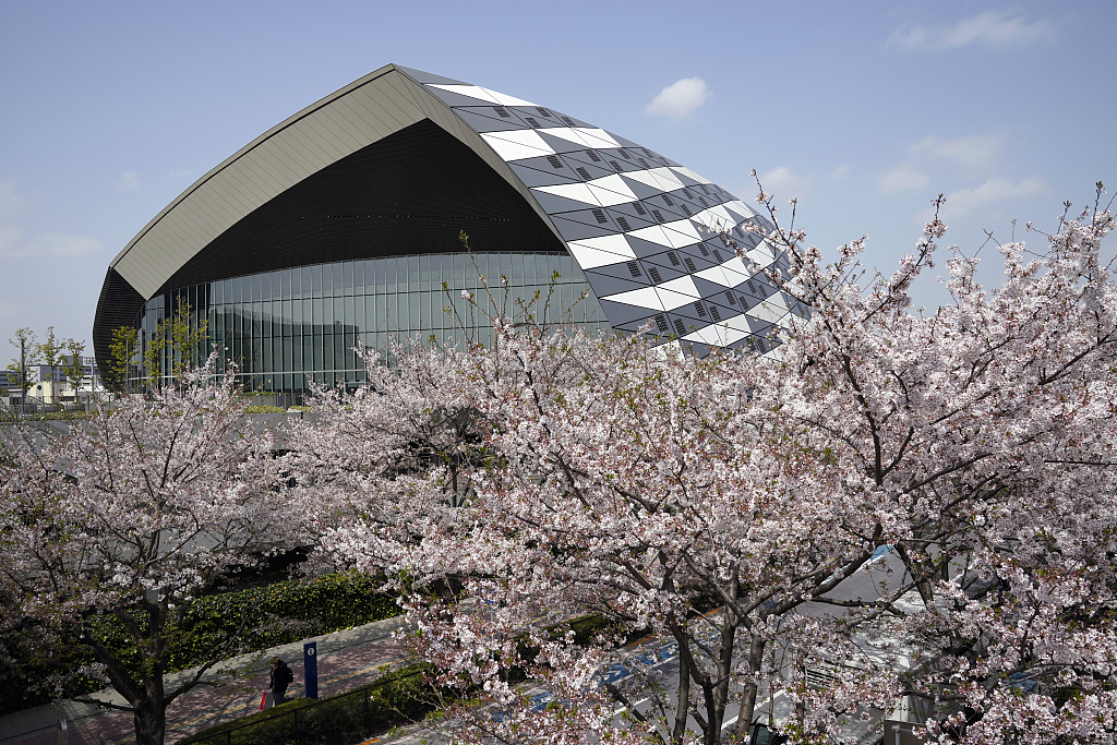 东京奥运会场馆附近的樱花（资料图）