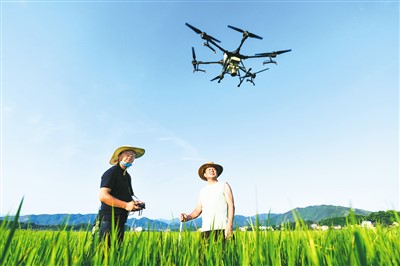 7月14日，在湖南省常宁市洋泉镇土桥村，农技员操作植保无人机正在为水稻进行飞防作业。周秀鱼春摄（人民视觉）