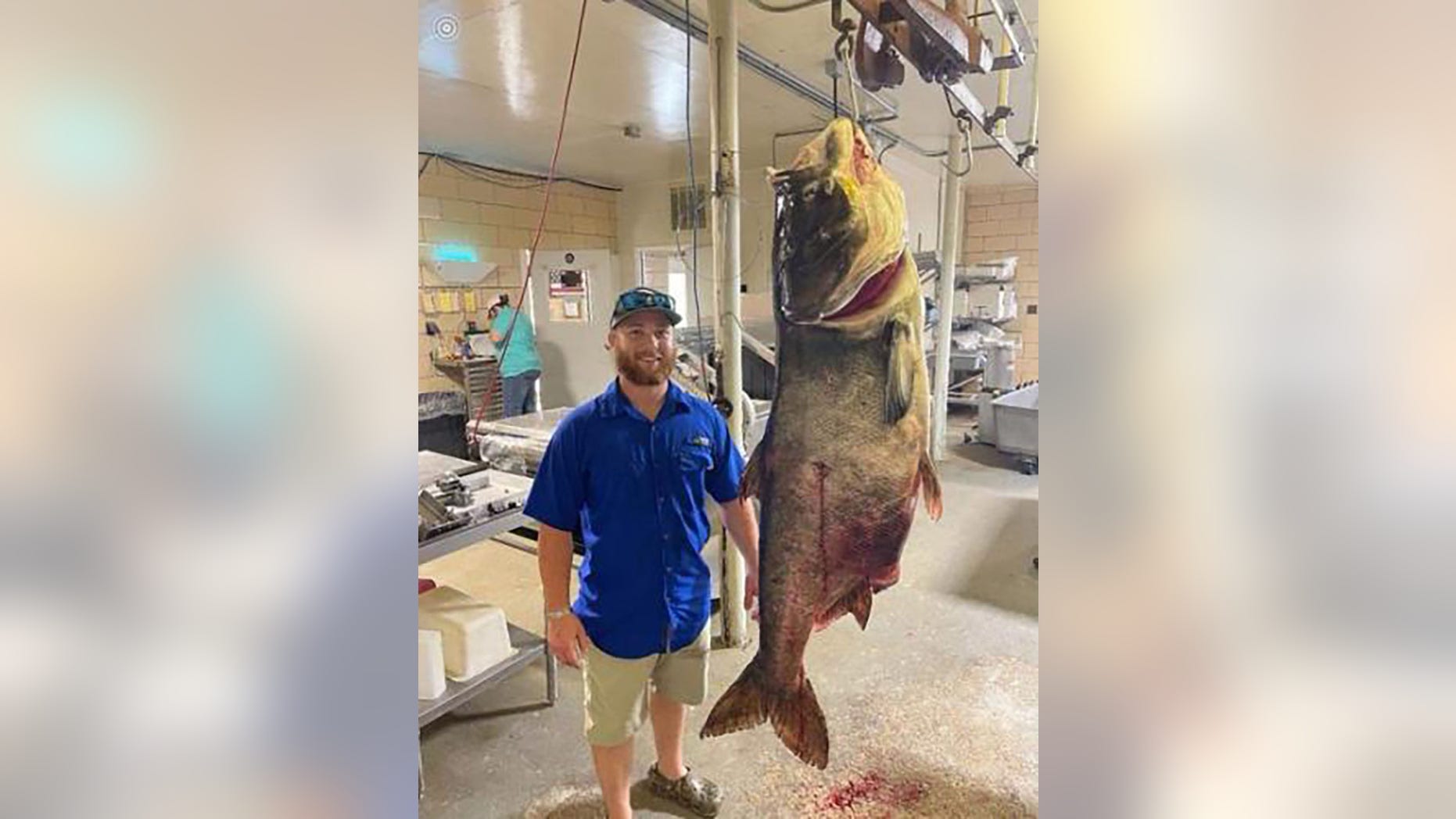 破世界纪录！美国男子捕获巨型鳙鱼：重57公斤 嘴里能塞下水桶