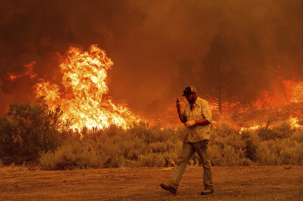 美国加利福尼亚州北部的“卡尔多”山火迅速蔓延