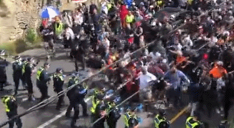 澳大利亚“反封城”游行失控 示威者冲破警方人墙引发混战